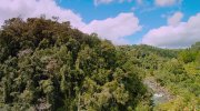 Island of Lemurs: Madagascar