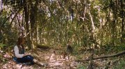 Island of Lemurs: Madagascar