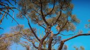 Island of Lemurs: Madagascar