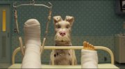 Isle of Dogs