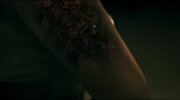 It Feeds