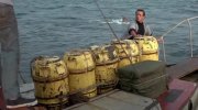 Jaws