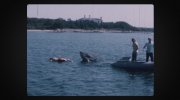 Jaws @ 50: The Definitive Inside Story