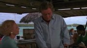Jaws: The Revenge