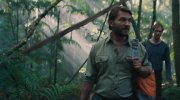 Jungle