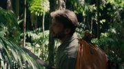 Jungle