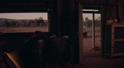 Kangaroo