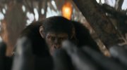 Kingdom of the Planet of the Apes
