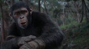 Kingdom of the Planet of the Apes