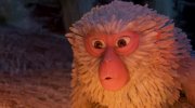 Kubo and the Two Strings