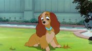 Lady and the Tramp