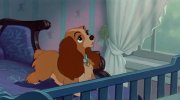 Lady and the Tramp
