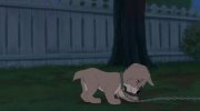 Lady and the Tramp II: Scamp's Adventure