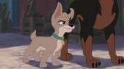 Lady and the Tramp II: Scamp's Adventure