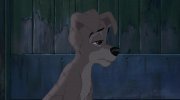 Lady and the Tramp II: Scamp's Adventure