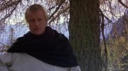 Ladyhawke