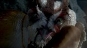Legend of the Guardians: The Owls of Ga'Hoole