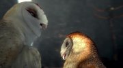 Legend of the Guardians: The Owls of Ga'Hoole