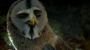 Legend of the Guardians: The Owls of Ga'Hoole
