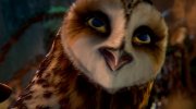 Legend of the Guardians: The Owls of Ga'Hoole