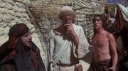 Life of Brian