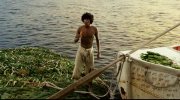 Life of Pi