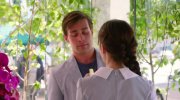 Love, Rosie