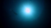 Mission Blue