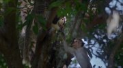 Monkey Kingdom
