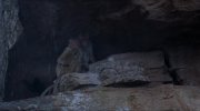 Monkey Kingdom