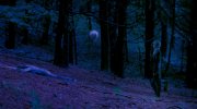 Moonage Daydream