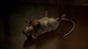 MouseHunt