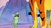 Mowgli. Raksha