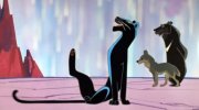 Mowgli. Raksha