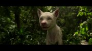Mowgli: Legend of the Jungle