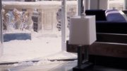 Mr. Popper's Penguins