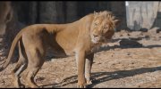 Mufasa: The Lion King