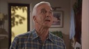 The Naked Gun 33⅓: The Final Insult
