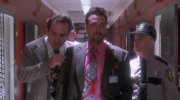 Natural Born Killers