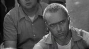 Natural Born Killers