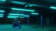 Nerve