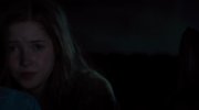 Nocturnal Animals