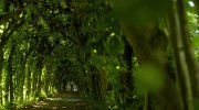 Paul O'Grady's Favourite Fairy Tales