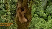 Paddington
