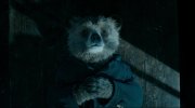 Paddington