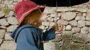 Paddington in Peru