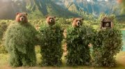 Paddington in Peru