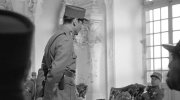 Paths of Glory