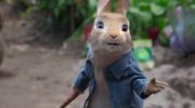 Peter Rabbit