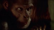 Planet of the Apes